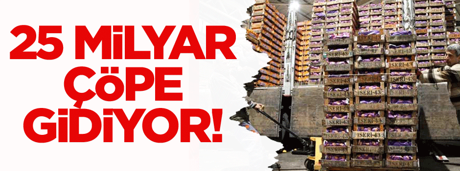 25 Milyar çöpe gidiyor!