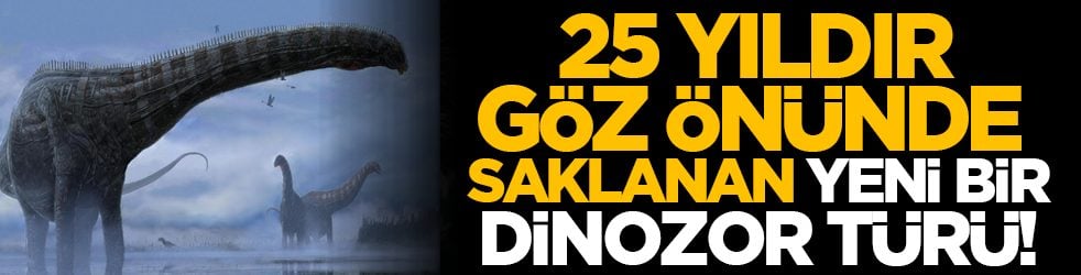  25 yıldır göz önünde saklanan yeni bir dinozor türü!
