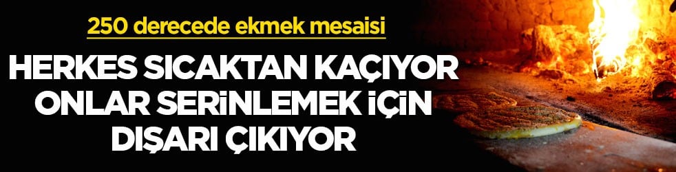 250 derecede ekmek mesaisi! Herkes sıcaktan kaçıyor, onlar serinlemek için dışarı çıkıyor