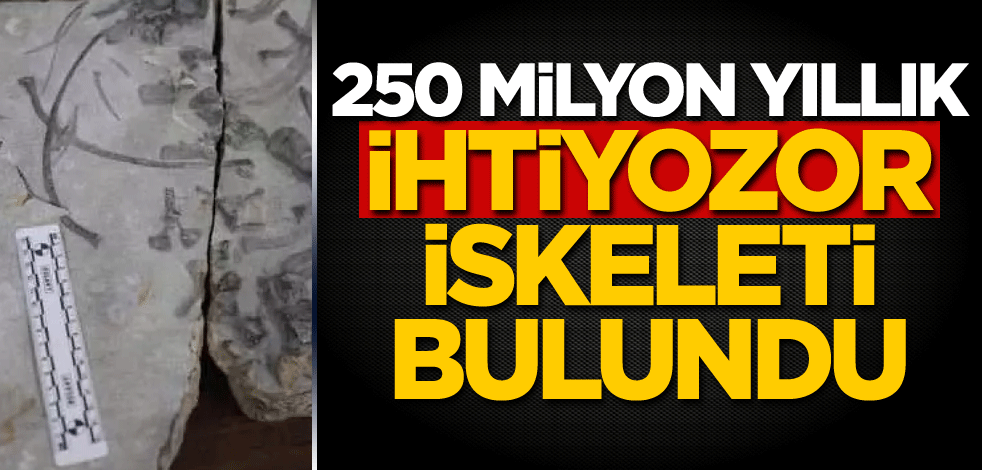 250 milyon yıllık ihtiyozor iskeleti bulundu