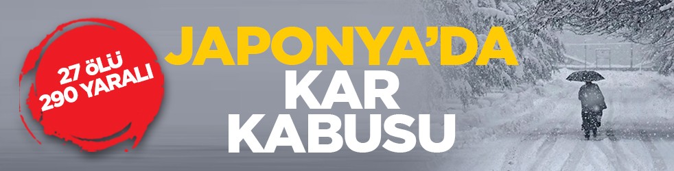 27 ölü, 290 yaralı: Japonya’da kar kabusu