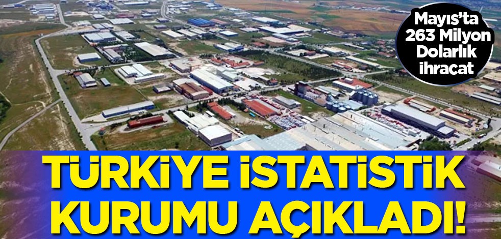 284 milyon dolarlık ihracat rekoru sonrası Türkiye'de Mayıs’ta da 263 Milyon dolarlık ihracat ile dikkat çekti