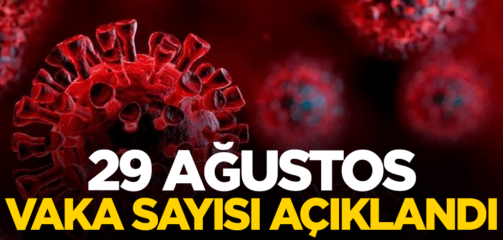 29 Ağustos vaka sayısı açıklandı