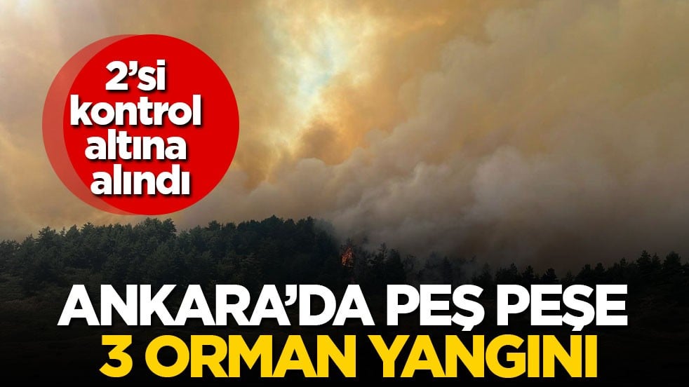2’si kontrol altına alındı! Ankara’da peş peşe 3 orman yangını