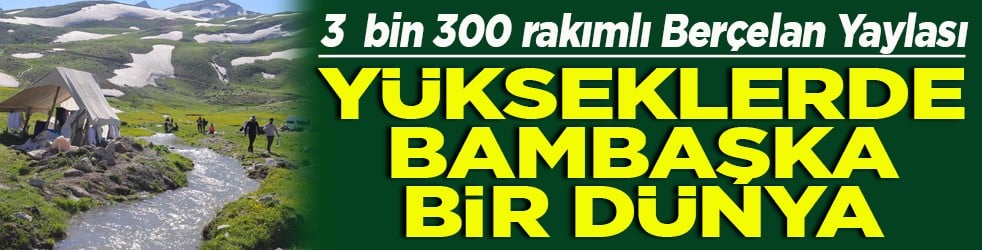 3 bin 300 rakımlı Berçelan Yaylası Yükseklerde bambaşka bir dünya