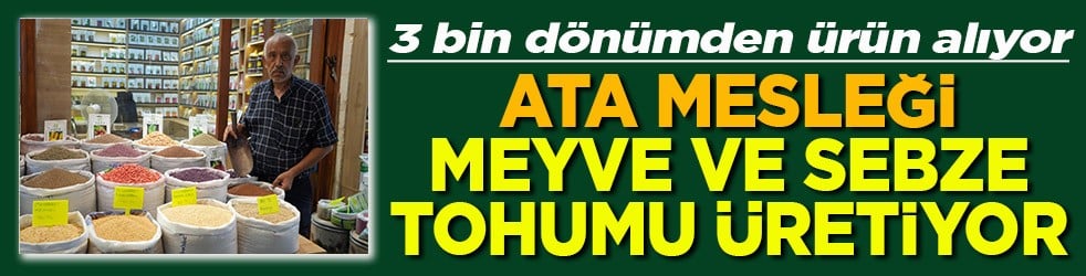 3 bin dönümden ürün alıyor Ata mesleği meyve ve sebze tohumu üretiyor