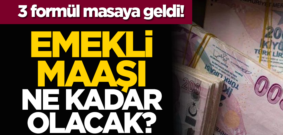 3 formül masaya geldi! Emekli maaşı ne kadar olacak?