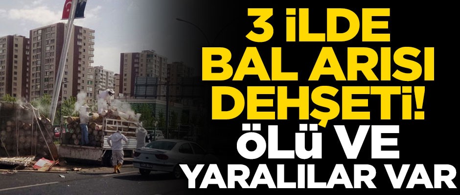 3 ilde bal arısı dehşeti! Ölü ve yaralılar var...