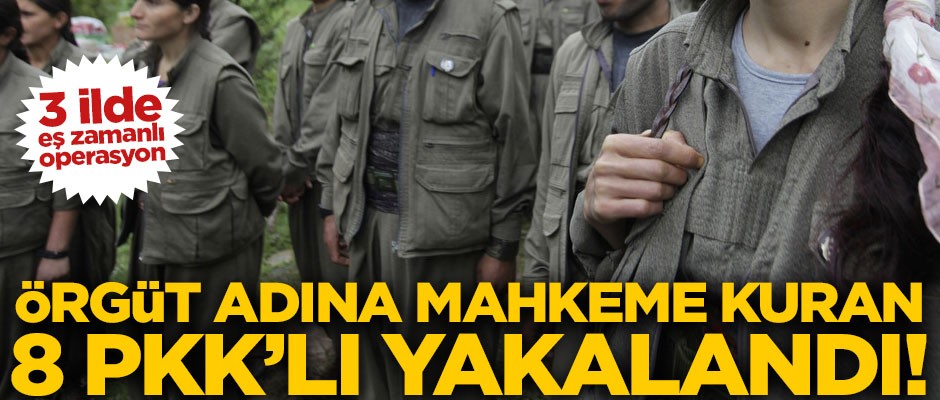 3 ilde eş zamanlı operasyon! Örgüt adına mahkeme kuran 8 PKK'lı yakalandı