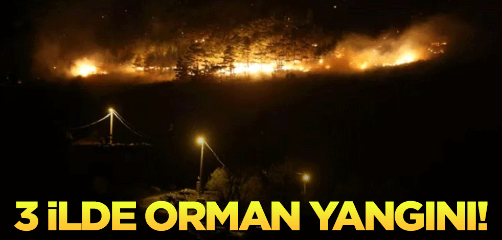 3 ilde orman yangını!