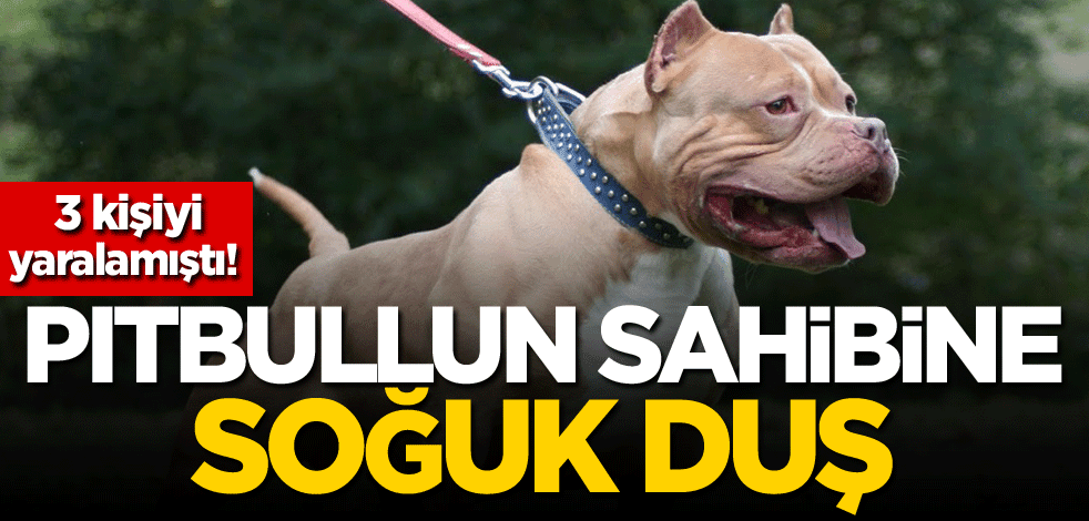 3 kişiyi yaralamıştı! Pitbullun sahibine soğuk duş