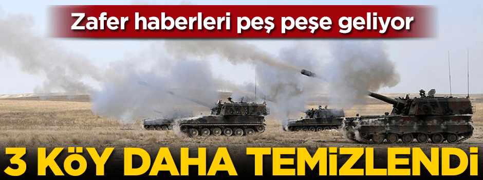 3 köy terörden temizlendi