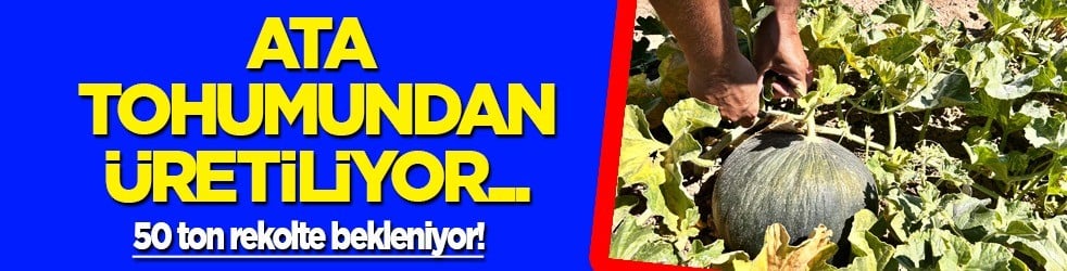  3 kuşaktır ata tohumundan üretiliyor tam 35 yıldır satıyorlar.. O meyve tezgahtaki yerini aldı 