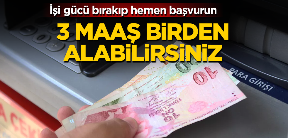 3 maaş birden alabilirsiniz! İşi gücü bırakıp hemen başvurun