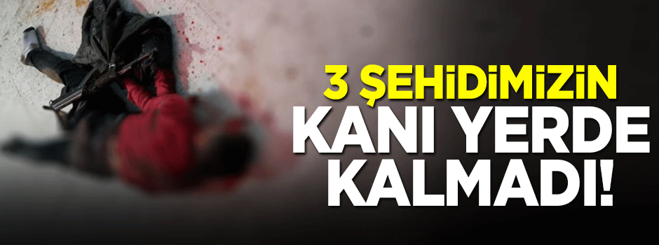 3 polisi şehit eden hain öldürüldü!