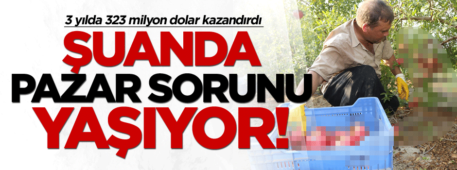 3 yılda 323 milyon dolar kazandırdı: Şuanda pazar sorunu yaşıyor!