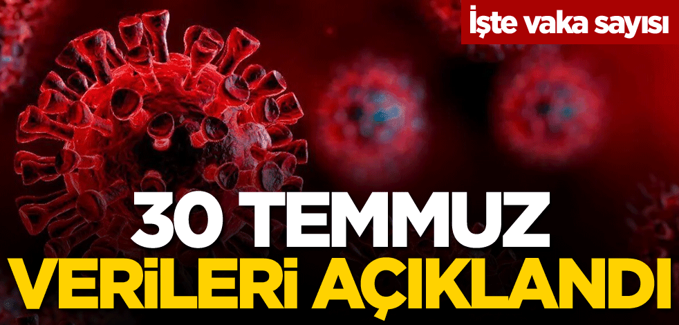 30 Temmuz verileri açıklandı