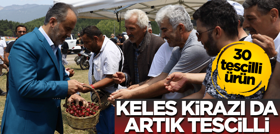30 tescilli ürün! Keles kirazı da artık tescilli