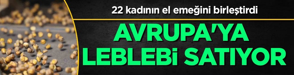 30 yıl sonra memleketine döndü, iş kurdu: 22 kadın şimdi Avrupa'ya leblebi satıyor