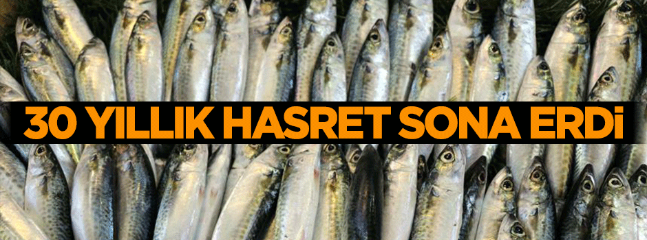 30 yıllık hasret sona erdi