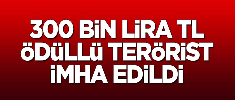 300 bin TL ödülle aranan terörist imha edildi!