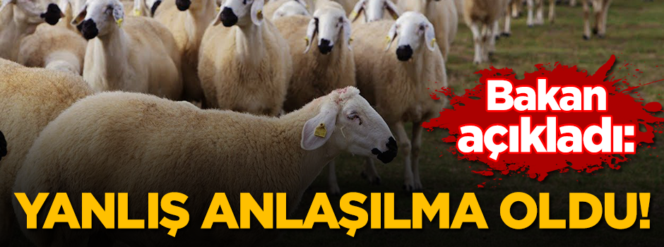 300 koyun projesinden kimler yararlanacak? Bakan açıkladı