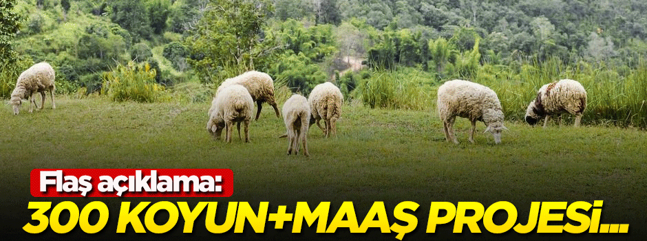 300 koyun+maaş projesi hakkında flaş açıklama