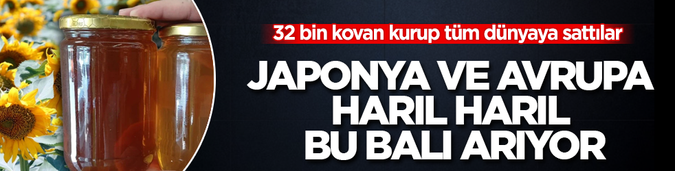 32 bin kovan kurup tüm dünyaya sattılar: Japonya ve Avrupa harıl harıl bu balı arıyor