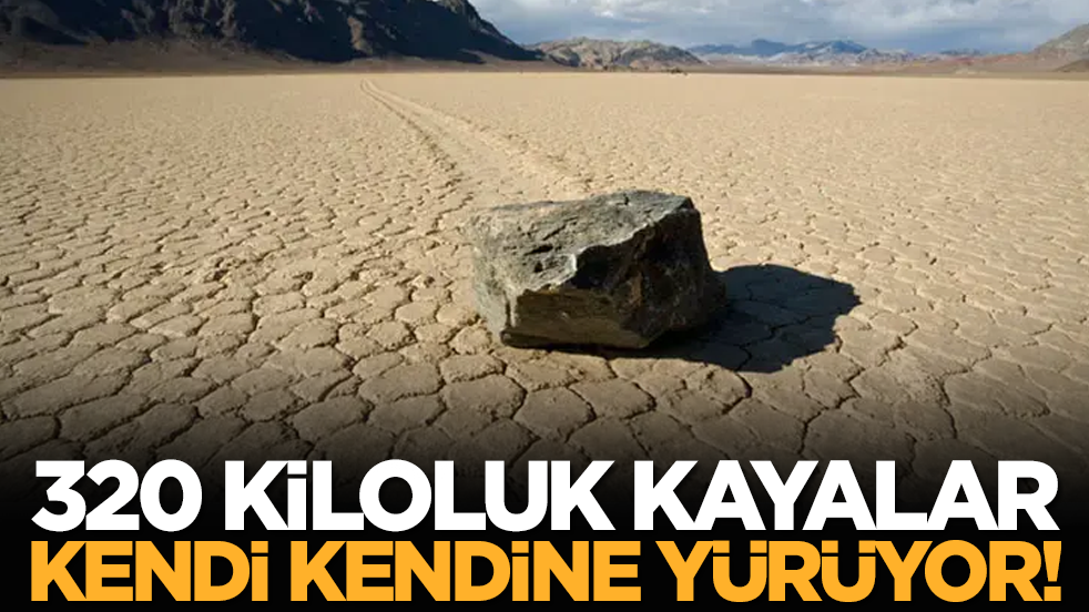 320 kiloluk kayalar kendi kendine yürüyor!
