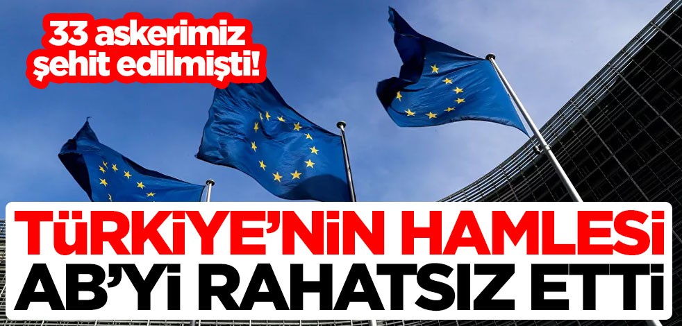 33 askerimiz şehit edilmişti! Türkiye'nin hamlesi AB'yi rahatsız etti