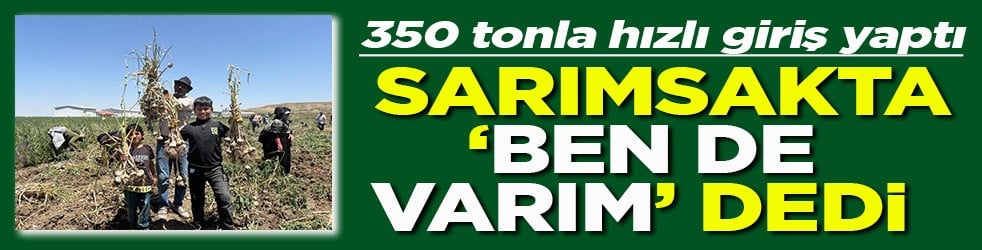 350 tonla hızlı giriş yaptı Sarımsakta 'ben de varım' dedi