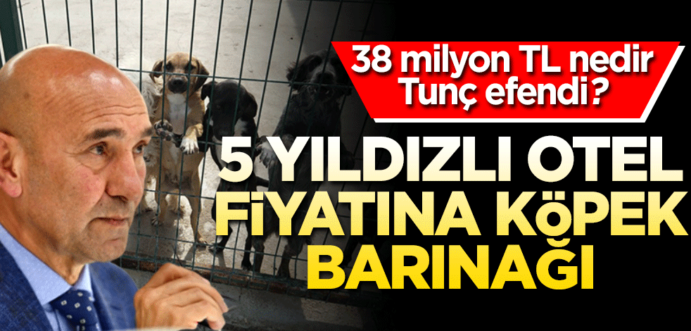 38 milyon TL nedir Tunç efendi? 5 yıldızlı otel fiyatına köpek barınağı