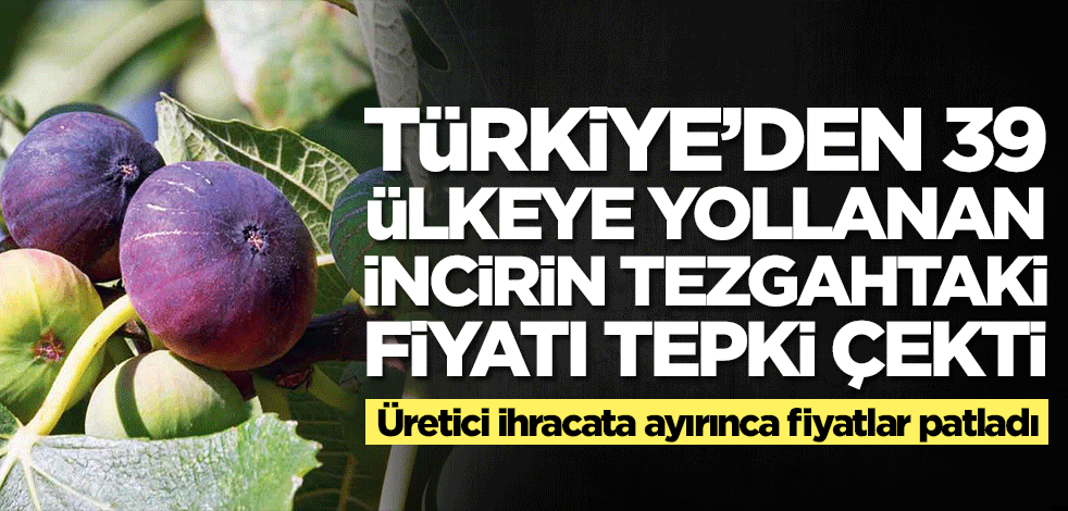 39 ülkeye yollanan incirin tezgahlardaki fiyatı tepki çekti! Üretici iç piyasaya değil de ihracata ayırınca fiyatlar patladı
