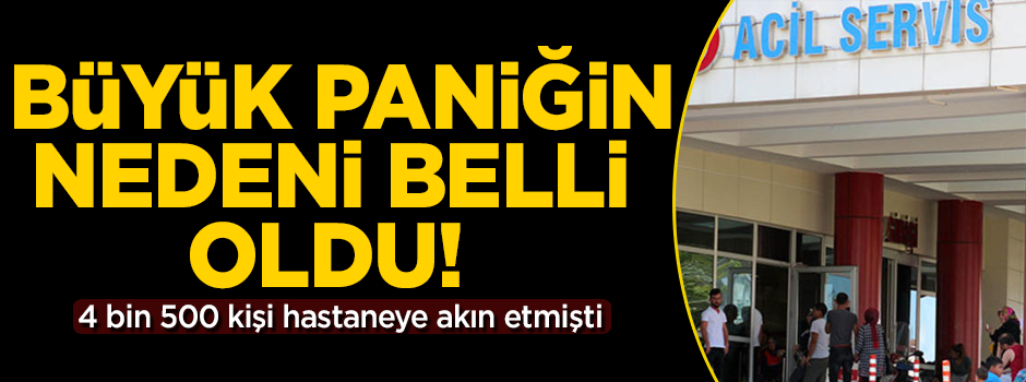 4 bin 500 kişi hastanelik olmuştu! Nedeni açıklandı