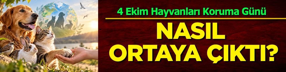 4 Ekim Hayvanları Koruma Günü nedir? Meğer çok derin anlamı varmış...