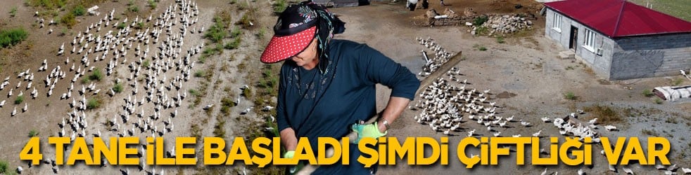 4 tane ile başladı şimdi çiftliği var