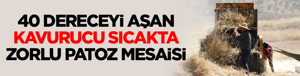 40 dereceyi aşan kavurucu sıcakta zorlu patoz mesaisi