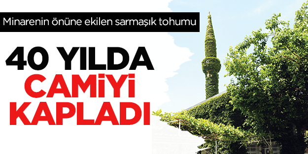 40 Yılda Camiyi Kapladı