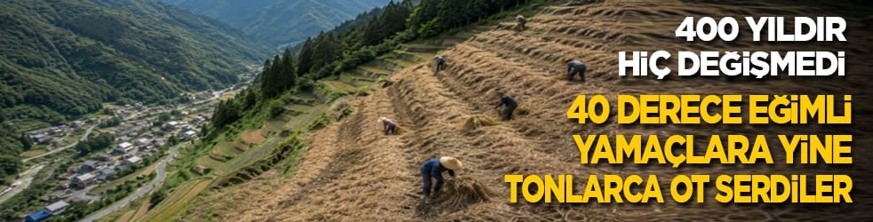400 yıldır hiç değişmedi! 40 derece eğimli yamaçlara yine tonlarca ot seriyorlar