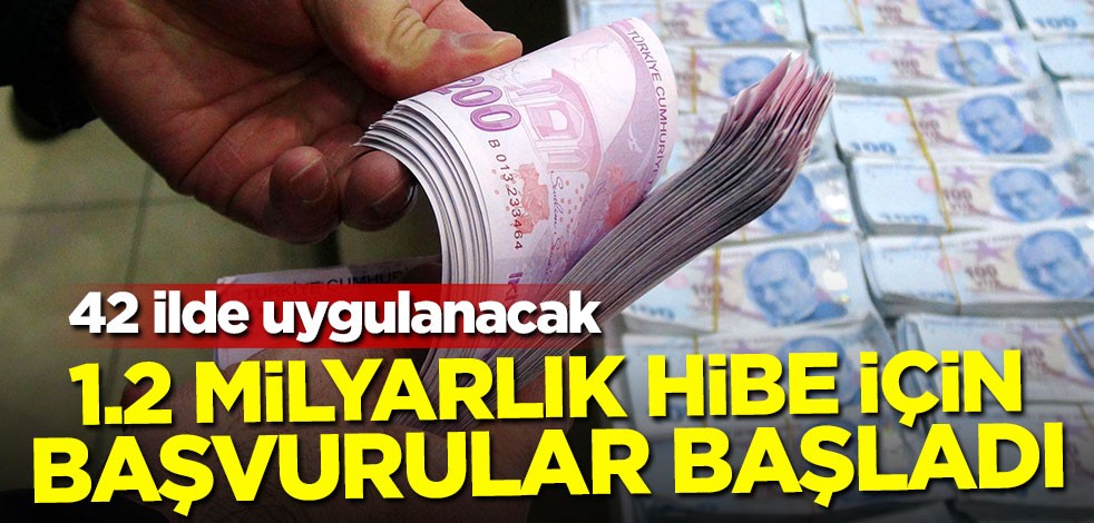 42 ilde uygulanacak! 1.2 milyar liralık hibe için başvuru başladı