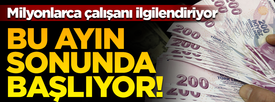 4.5 milyon çalışan otomatik BES'e dahil edilecek! Bu ay başlıyor