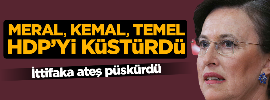 4'lü ittifak kuran partiler HDP'yi küstürdü