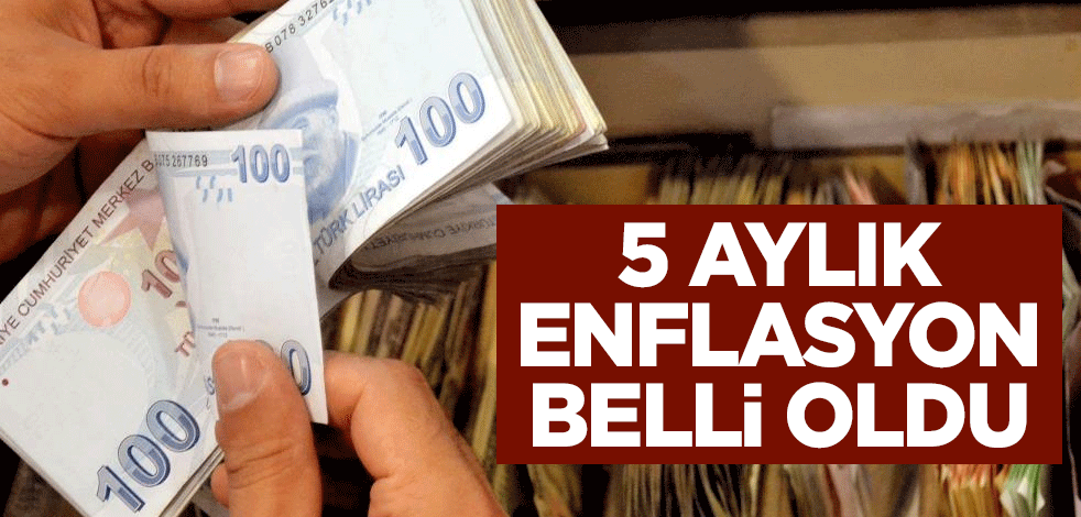 5 aylık enflasyon oranı belli oldu