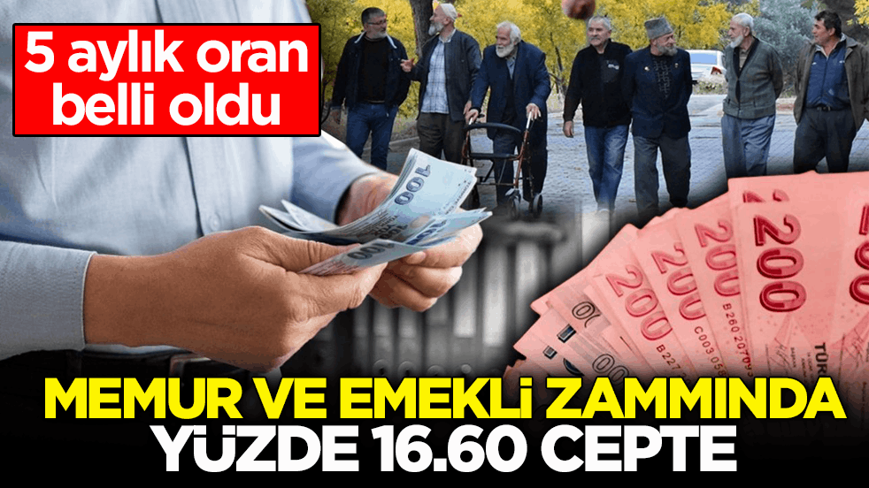5 aylık oran belli oldu! Memur ve emekli zammında yüzde 16.60 cepte