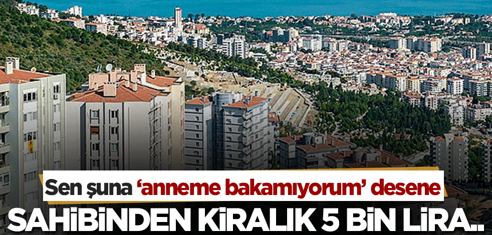 5 bin liraya kiralık daire! Kısaca 'anneme bakamıyorum' desene...