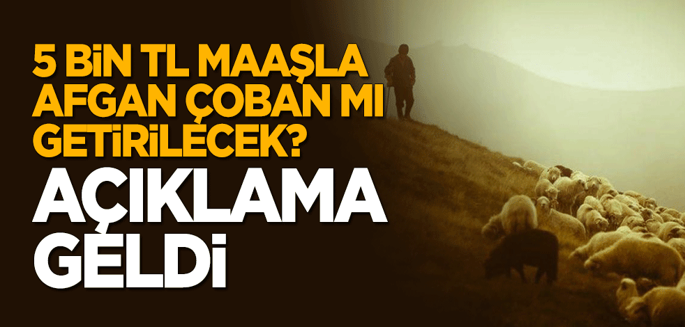 5 bin TL maaşla Afgan çoban mı getirilecek? Göç İdaresi'nden açıklama geldi