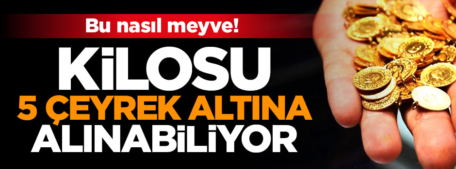 5 çeyrek altın fiyatına 1 kilo erik!