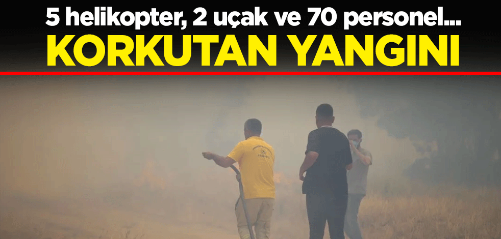 5 helikopter, 2 uçak ve 70 personel... Edirne Lalapaşa'da orman yangını