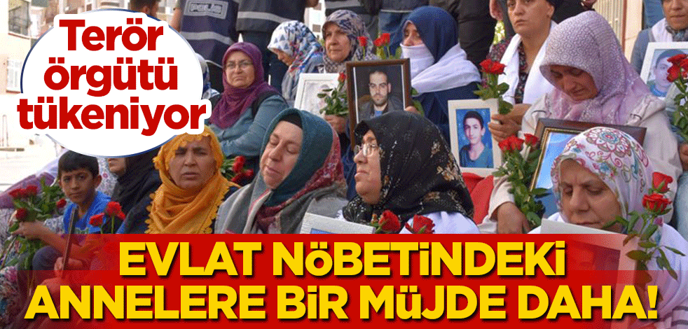 5 PKK'lı terörist daha teslim oldu! Evlat nöbetindeki annelere bir müjde daha