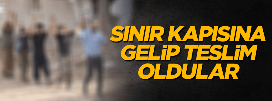 5 PKK'lı terörist teslim oldu